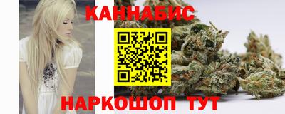 МДПВ Новозыбков