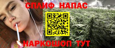 МДПВ Новозыбков