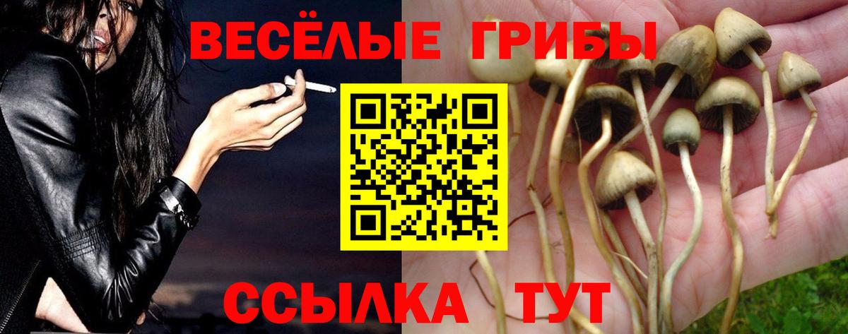 Сафоново  Псилоцибиновые грибы Psilocybine cubensis  где продают   Вход с VPN 